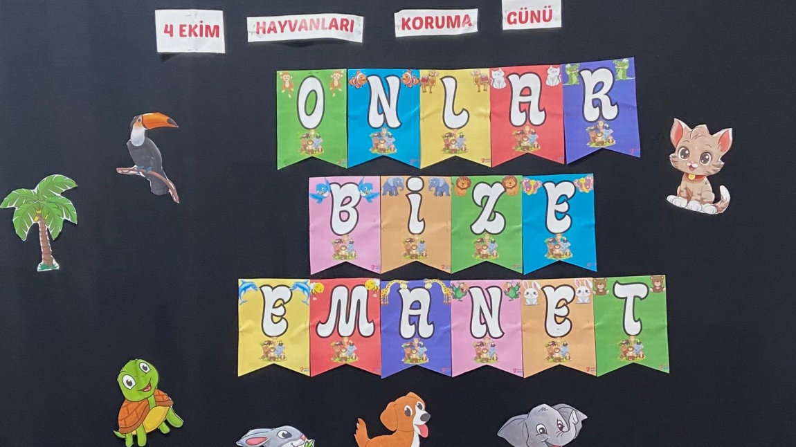 4 Ekim Hayvanları Koruma Günü